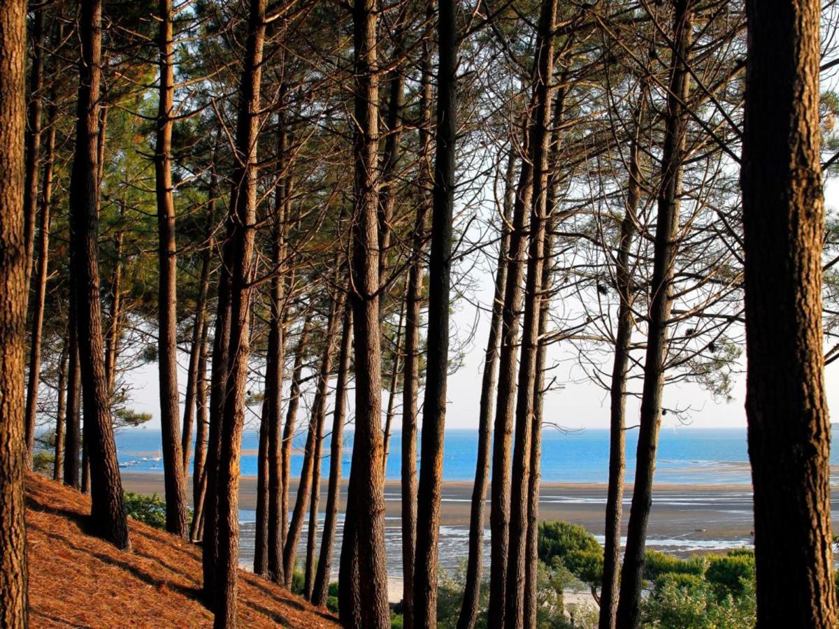 Appartement Arcachon, 3 Pièces, 5 Personnes - Fr-1-420-8